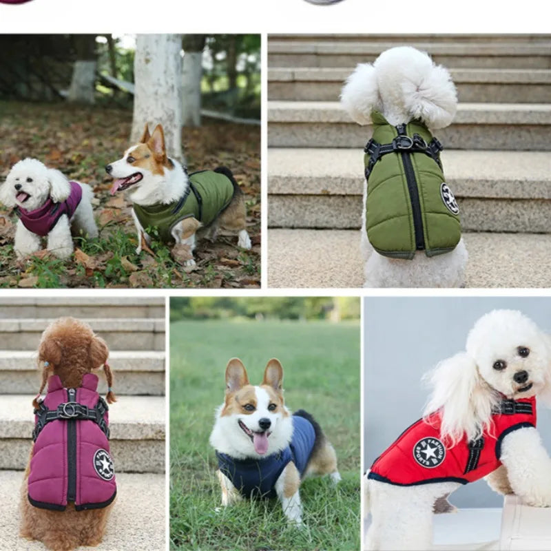 Dog Jacket with Harness ring